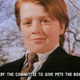 Illustration for article titled iThe Adventures Of Pete And Pete/i: “When Petes Collide”